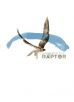 Raptor - Limited Variant Edition