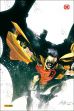 Robin und Batman: Der Weg zum Helden HC