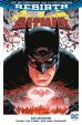Batman Paperback (Serie ab 2017, Rebirth) # 01 - 12 SC