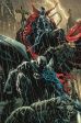 Batman/Spawn: Todeszone Gotham HC-Variant C