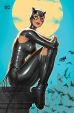 Catwoman (Serie ab 2024) # 01 Variant-Cover