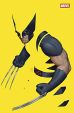 Wolverine (Serie ab 2025) # 01 - Ruf der Wildnis - Variant-Cover