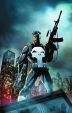 Punisher Collection von Jim Lee